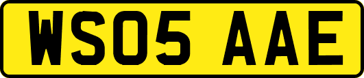 WS05AAE
