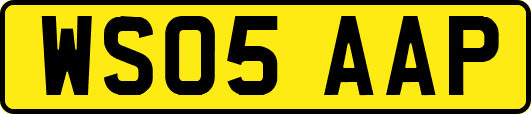 WS05AAP