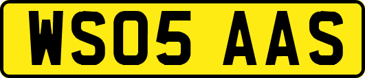 WS05AAS