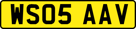 WS05AAV
