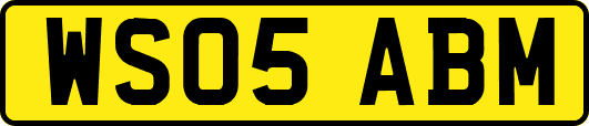 WS05ABM