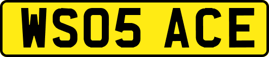 WS05ACE