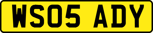 WS05ADY