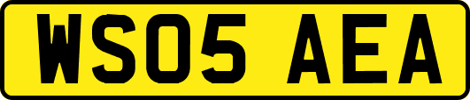 WS05AEA