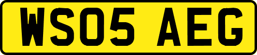 WS05AEG