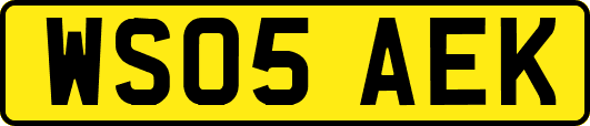 WS05AEK
