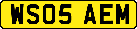 WS05AEM