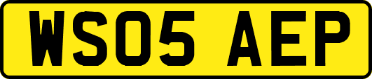 WS05AEP