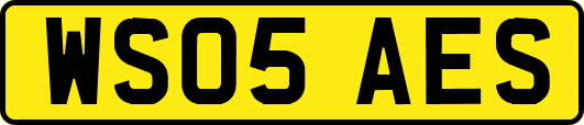 WS05AES