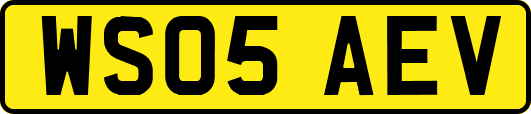 WS05AEV