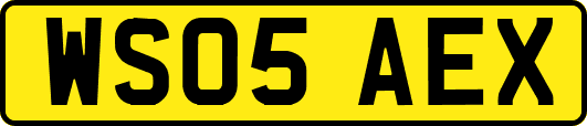WS05AEX