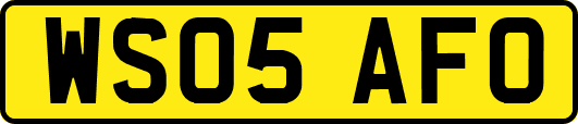 WS05AFO