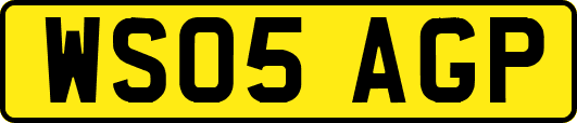 WS05AGP