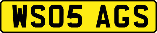WS05AGS