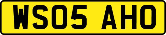 WS05AHO