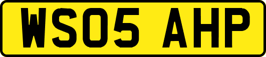 WS05AHP