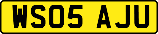 WS05AJU