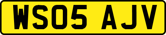 WS05AJV