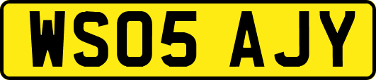 WS05AJY