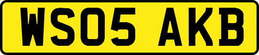 WS05AKB