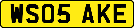 WS05AKE