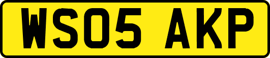 WS05AKP