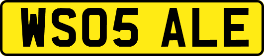 WS05ALE