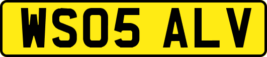 WS05ALV