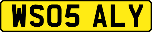 WS05ALY