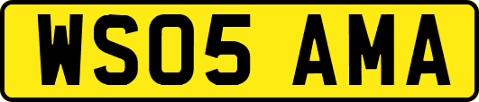 WS05AMA
