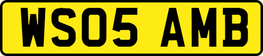 WS05AMB