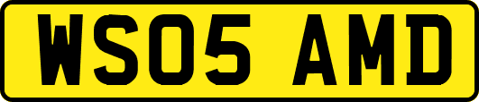 WS05AMD