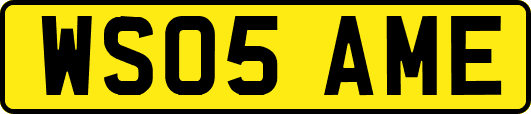 WS05AME
