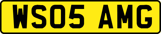 WS05AMG