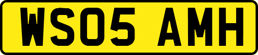 WS05AMH