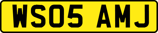 WS05AMJ