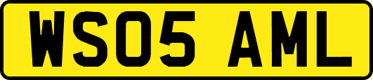 WS05AML