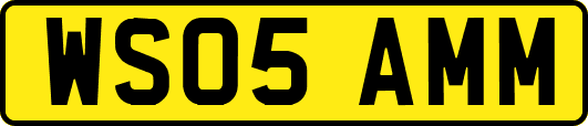 WS05AMM