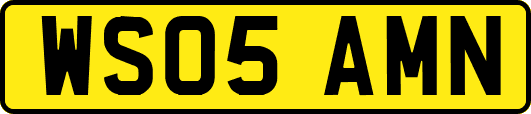 WS05AMN