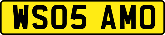 WS05AMO