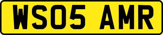 WS05AMR