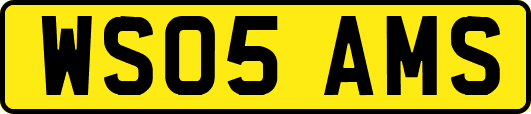 WS05AMS
