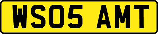 WS05AMT