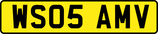 WS05AMV