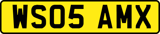 WS05AMX