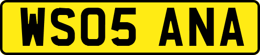 WS05ANA