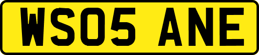 WS05ANE