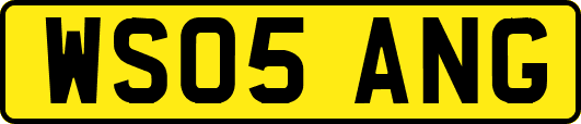 WS05ANG
