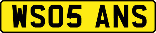 WS05ANS