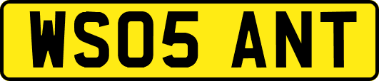 WS05ANT